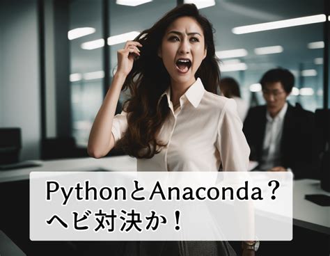 Anaconda Python に対する画像結果