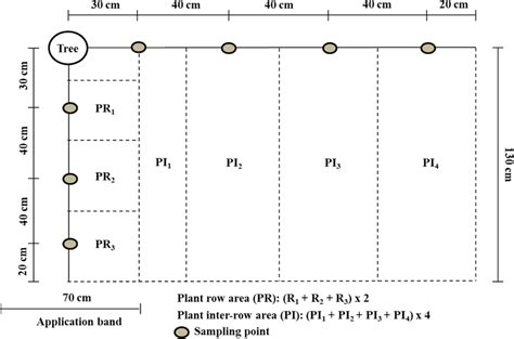 Image result for Square Root System Sampling Plan