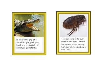 Image result for Informational Text About Animals