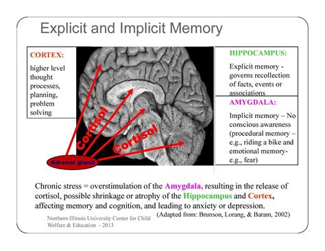 Implicit Memory System に対する画像結果