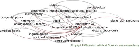 Image result for Duplication Disease