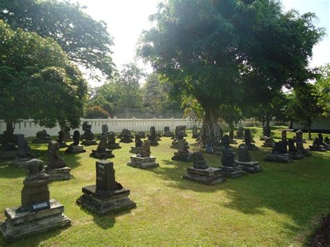 Toradh íomhá ar What Do People From Java Look Like