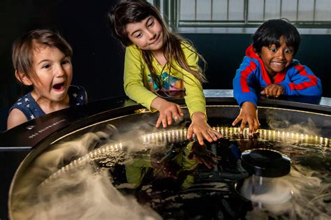 Image result for Curie Point Graphical Representation