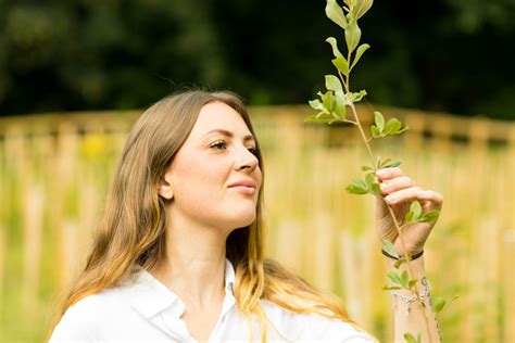 Image result for Hedge Trees Planting Guide