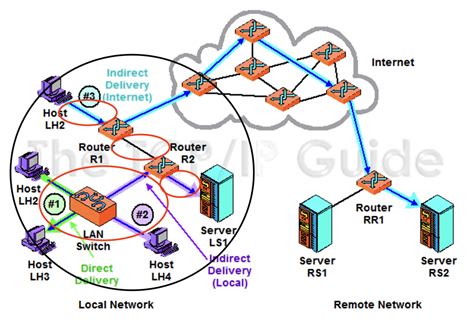 Network Learning Models に対する画像結果