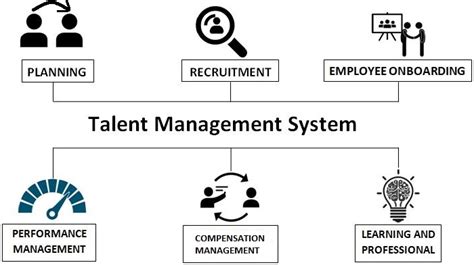 Image result for Talent Management System TMS Training