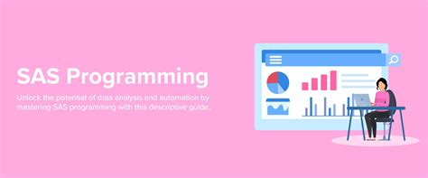 Image result for SAS Programming Tutorial