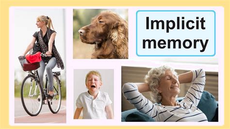 Implicit Memory System に対する画像結果