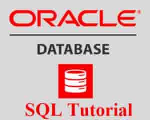 Image result for Sum Oracle SQL
