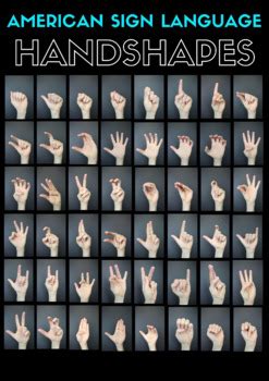 ASL Shape Chart に対する画像結果