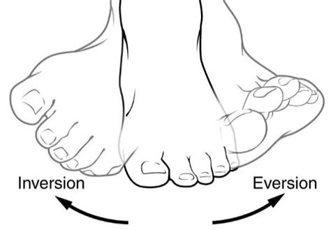 Subtalar Inversion に対する画像結果