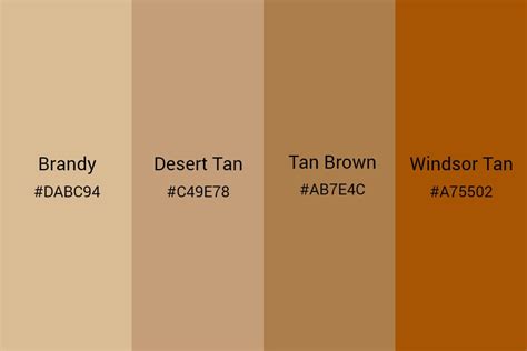 Image result for HTML Background Color Code Brown
