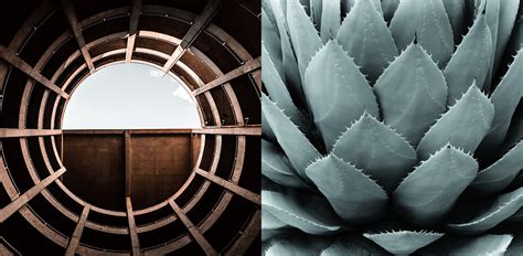 Unity in Photography に対する画像結果