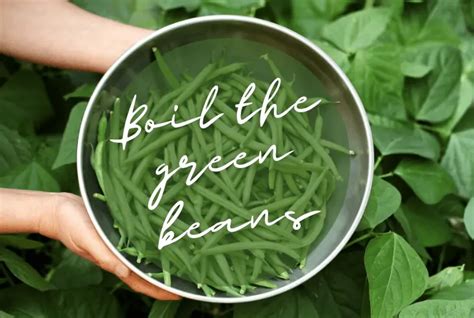 Image result for Easy Going Alien Clip Art