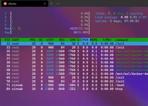 Image result for Linux Deskptops GUI for Windows 10