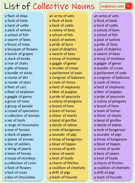 Image result for Collective Nouns Examples