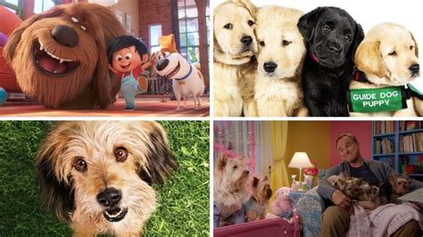 Image result for Animal Dog Movies