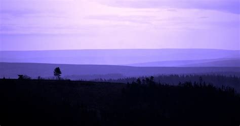 Image result for How to View CSV Files