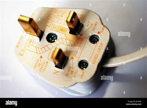 Image result for Plug Socket Wiring