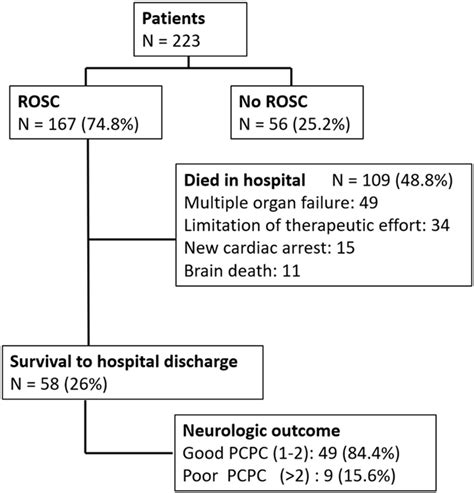 Rosc Algorithm に対する画像結果