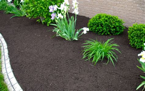 Image result for Spring Landscaping