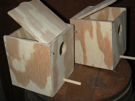 Java Finch Nest Box Images के लिए छवि परिणाम