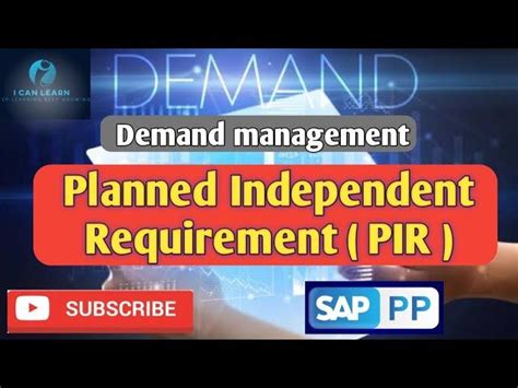 Process Flow Chart for PIR in SAP に対する画像結果