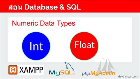 Image result for Float Data Type