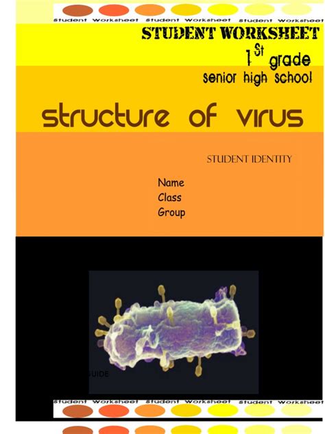 Image result for Virus Worksheet.pdf