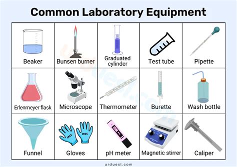 Laboratory Equipment List with Pictures, Uses, and Pdf