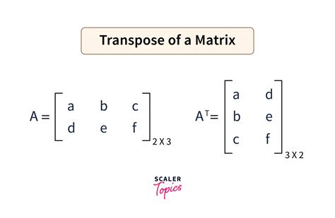 Image result for Transpose of Matrix Answersheet