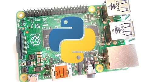 Image result for Raspberry Pi Python Icon