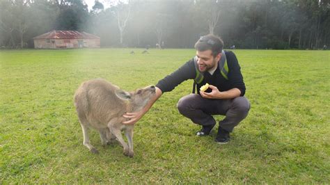 Image result for Project Menu Visual Studio