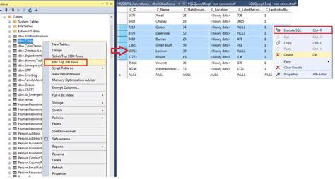Afbeeldingsresultaten voor Delete Query in SQL