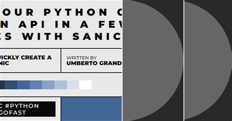 Image result for Sanic Python Logo