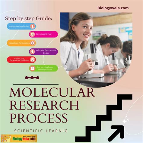 Creative Process Step by Step Guide에 대한 이미지 결과