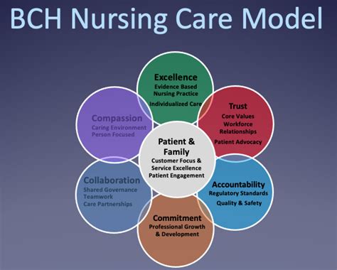Image result for Nursing Core Values