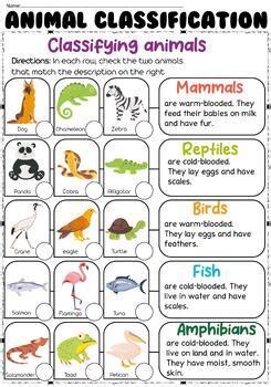 Afbeeldingsresultaten voor Classification Activities for Elementary School
