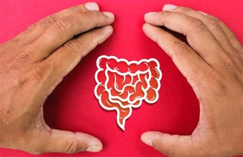 Image result for Vers Dans Les Selles