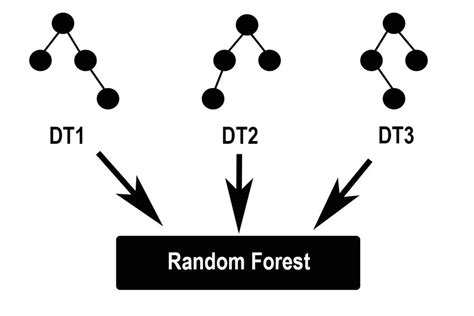 Image result for Random Forests Explained