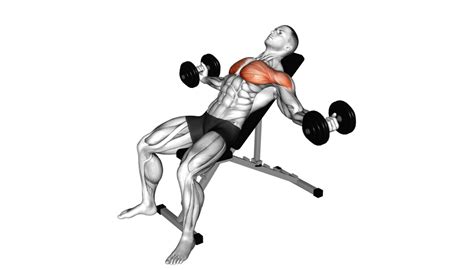 Image result for Cable Tricep Exercises