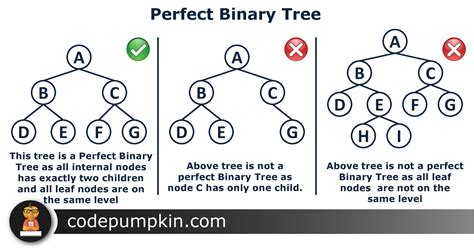 Binary Tree In Python-க்கான படிம முடிவு