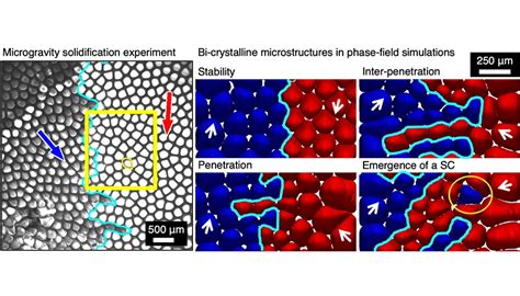 Image result for Microgravity Laboratory USML
