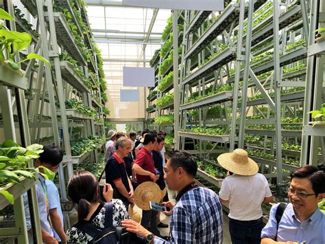 Toradh íomhá ar Problem Reaction Solution Meme