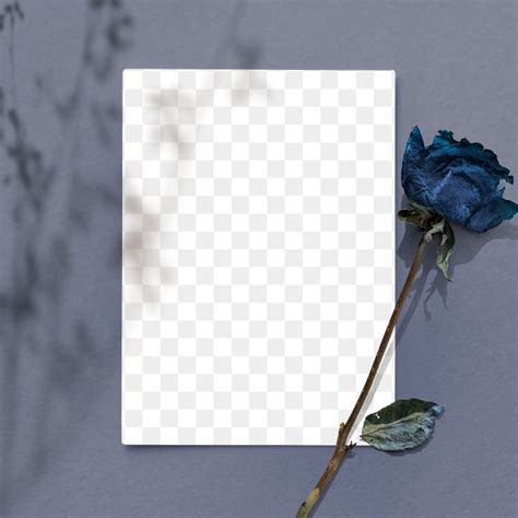 Text Message Pics に対する画像結果