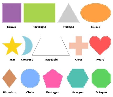 Image result for Basic 2D Shapes