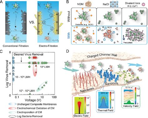 Afbeeldingsresultaten voor Removal of Virus From Sewage Water Using MATLAB Block Diagram