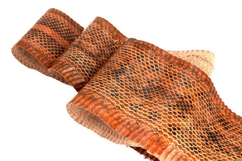 Copperhead Snake Skin for sale | Only 2 left at -70%