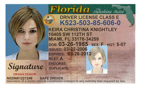 Image result for FL Drivers License Check