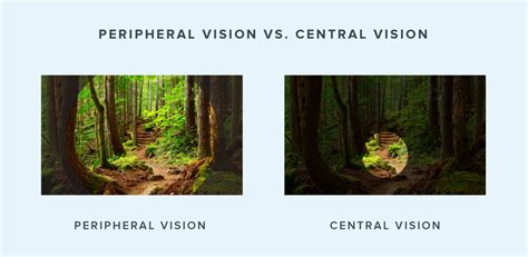 Image result for Peripheral Vision Loss
